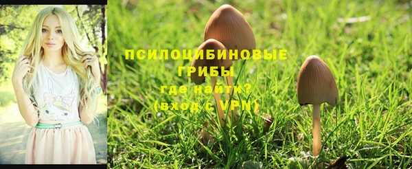 метадон Армянск